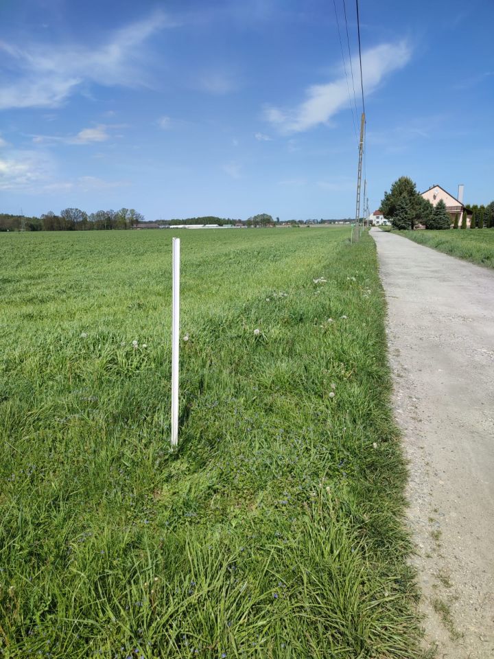 Działka budowlana Pludry, ul. Zamknięta. Zdjęcie 5