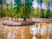 Działka inwestycyjna Wielbark. Zdjęcie 2