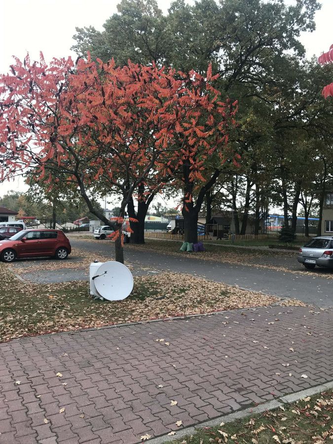Mieszkanie 3-pokojowe Warszawa Wawer, ul. Ogórkowa. Zdjęcie 6