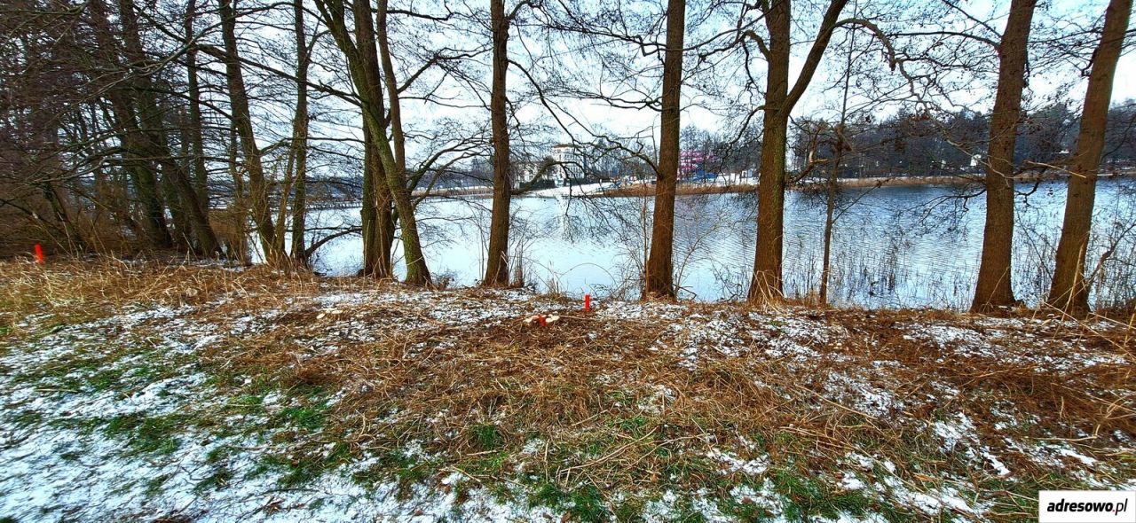 Działka rolna Margonin. Zdjęcie 8