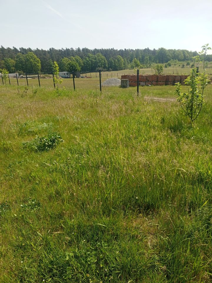 Działka budowlana Niedary. Zdjęcie 10