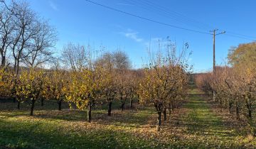 Działka rolno-budowlana Sucharzów