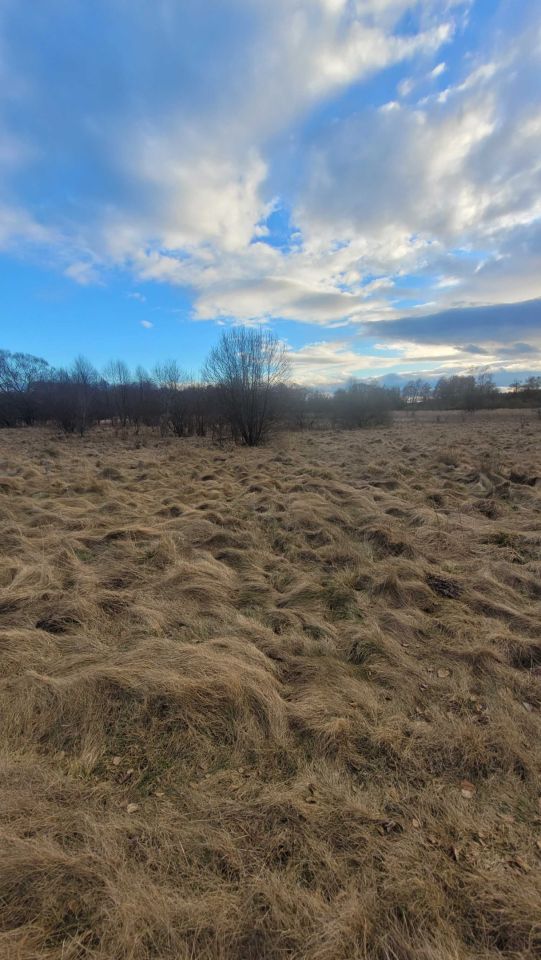 Działka rekreacyjna Trzebca. Zdjęcie 3