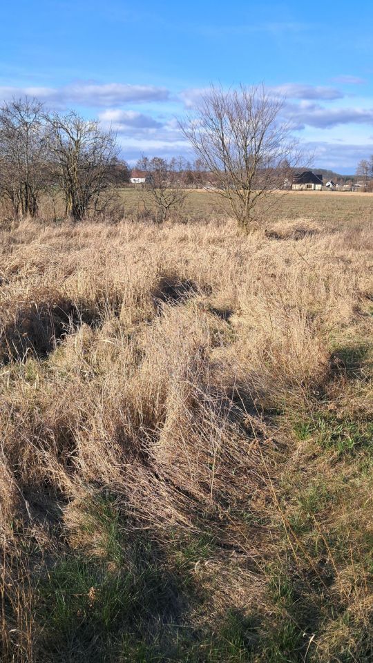 Działka budowlana Zławieś Mała, ul. Kasztanowa. Zdjęcie 4