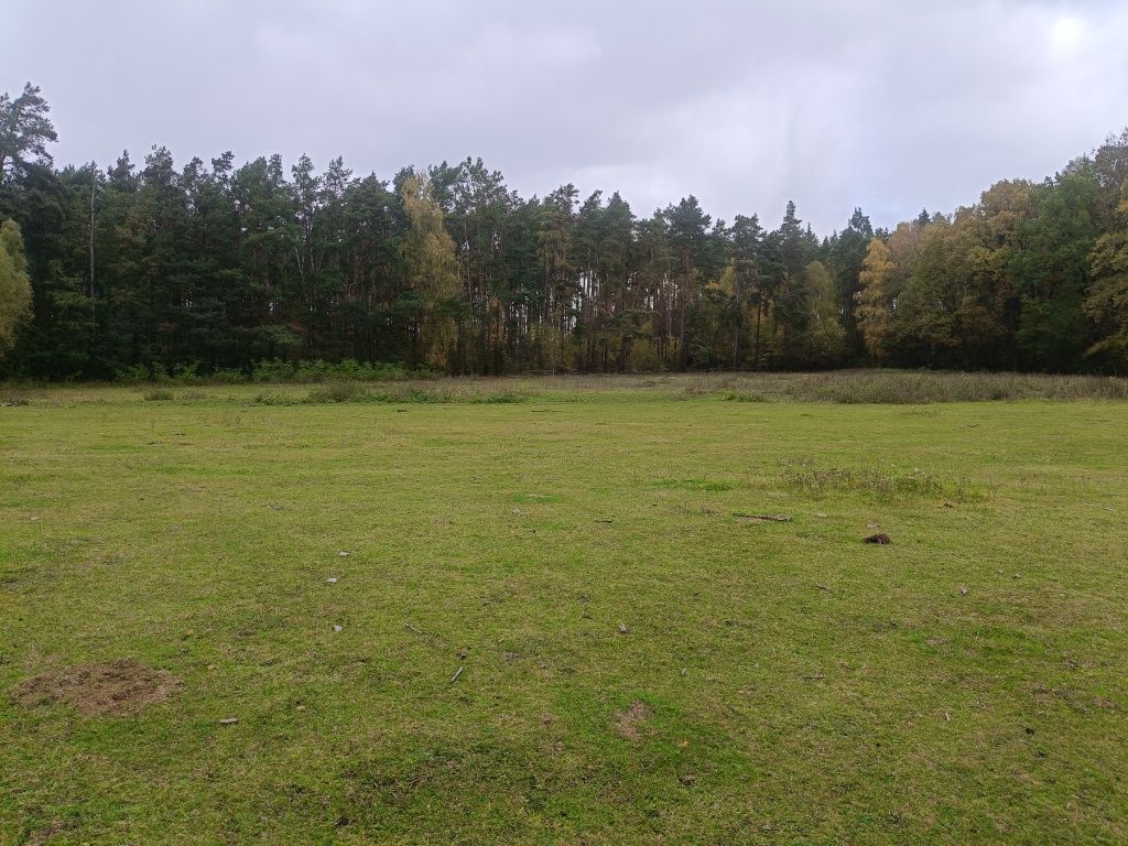 Działka rolna Garbatka. Zdjęcie 7