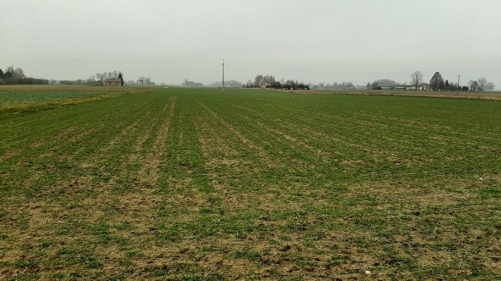 Działka budowlana Podkampinos. Zdjęcie 6