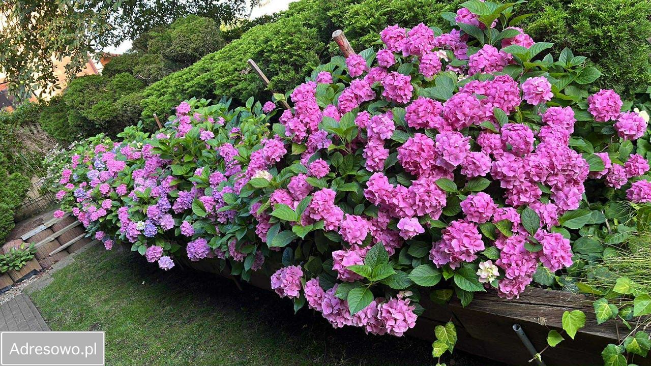 dom wolnostojący, 4 pokoje Sztutowo, ul. Zalewowa. Zdjęcie 10