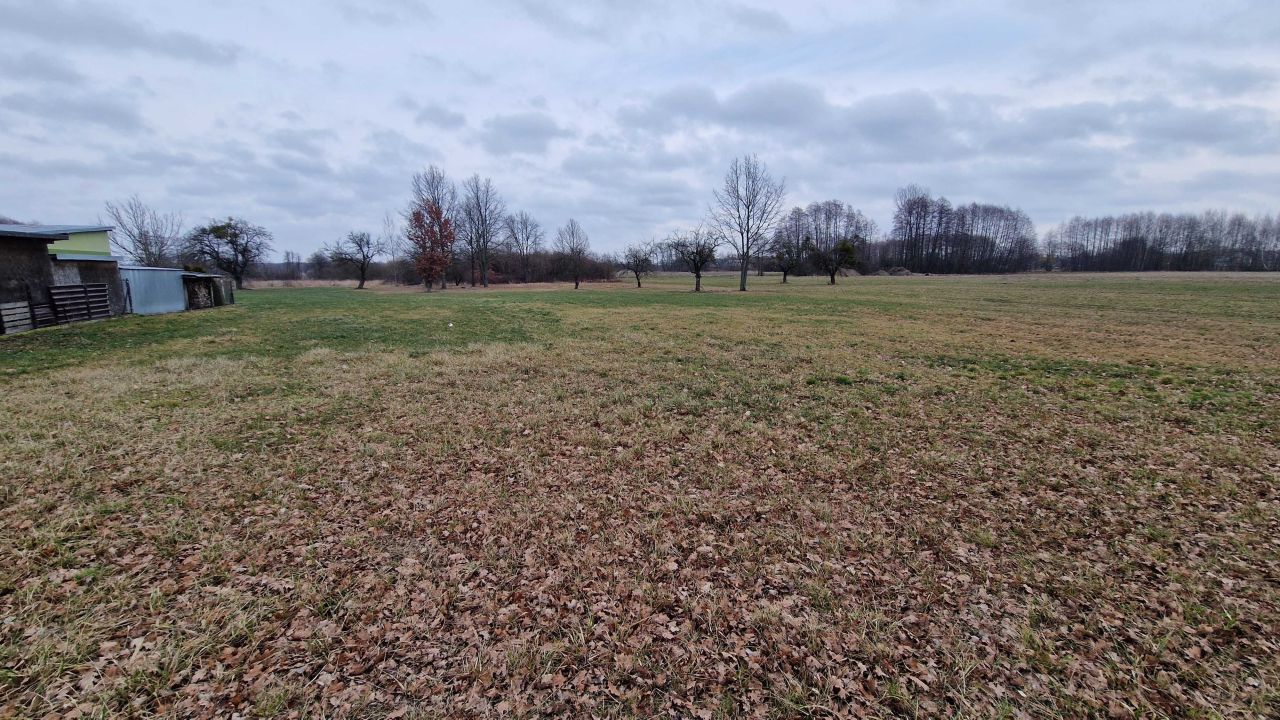 Działka rolno-budowlana Gąsocin, ul. Pułtuska. Zdjęcie 4