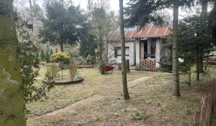 Działka rod Aleksandrów Łódzki, ul. 11 Listopada