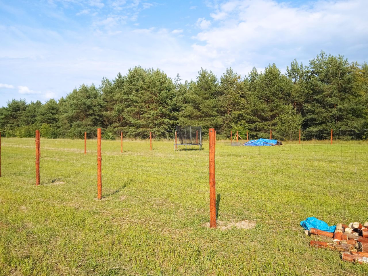Działka rolno-budowlana Bartoszówka, ul. Pogodna
