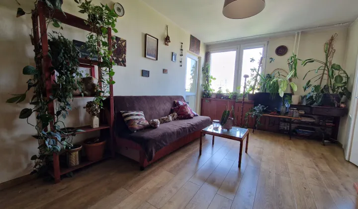 Mieszkanie 3-pokojowe Wrocław Stare Miasto, pl. Ludwika Hirszfelda