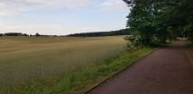 Działka rolno-budowlana Skarszewy, ul. Nad Stawem. Zdjęcie 4