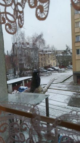 Mieszkanie 1-pokojowe Kołobrzeg. Zdjęcie 1