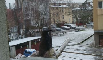 Mieszkanie 1-pokojowe Kołobrzeg