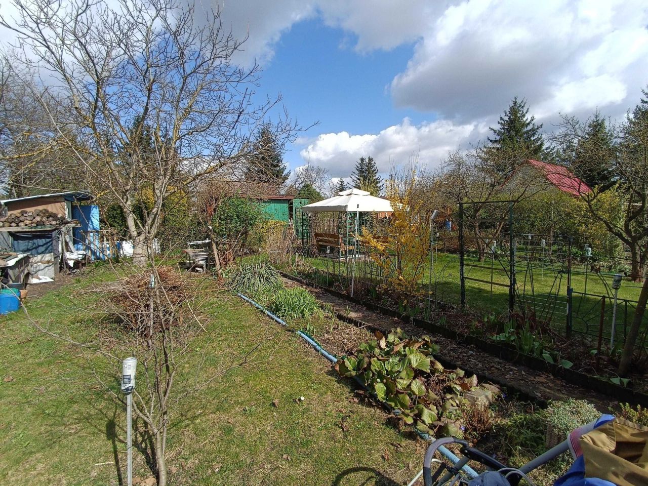 Działka rod Siedlce. Zdjęcie 7