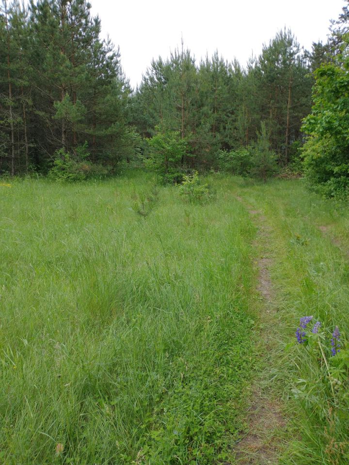 Działka budowlana Macharce, ul. Wilcza. Zdjęcie 3