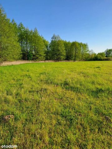 Działka budowlana Nowiny. Zdjęcie 1