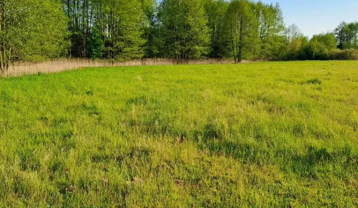 Działka budowlana Nowiny