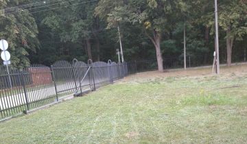 Działka budowlana Rozalin, ul. Winogronowa