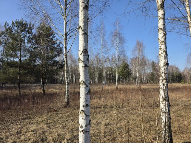 Działka rolno-budowlana Leontyna, Dębowa. Zdjęcie 4