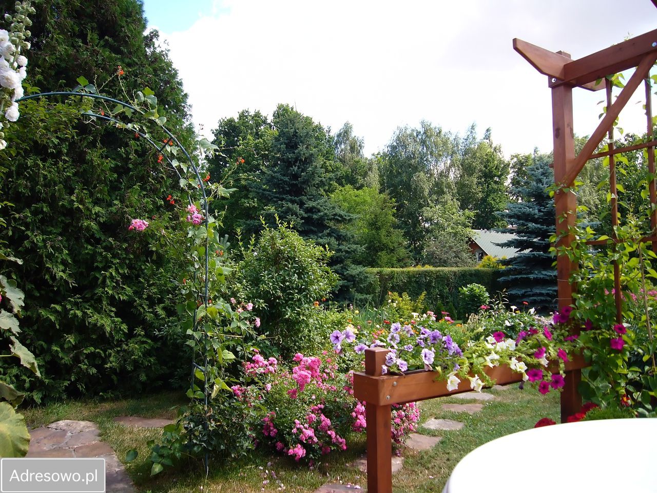 Działka rod Okołowice. Zdjęcie 8