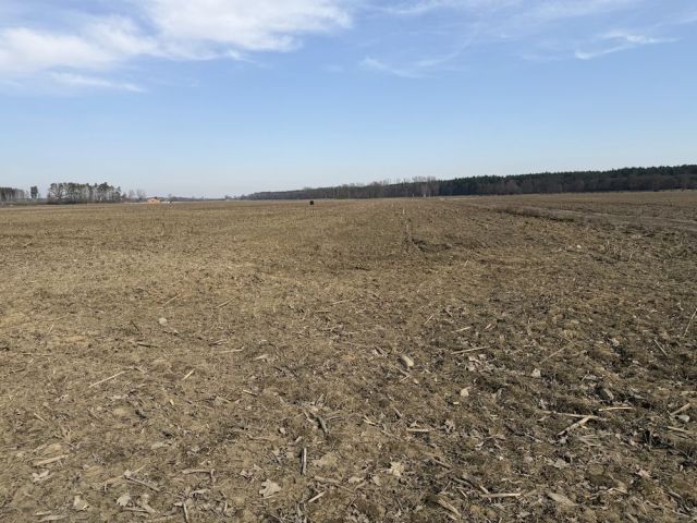 Działka budowlana Niechłód. Zdjęcie 1