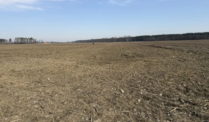 Działka budowlana Niechłód