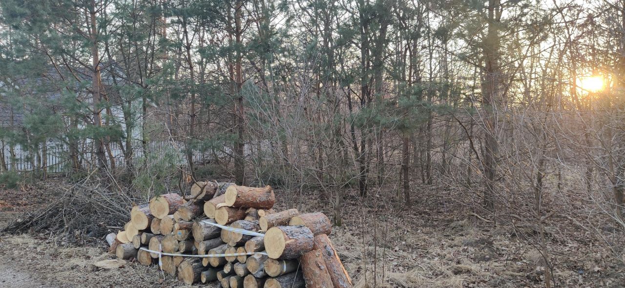 Działka leśna Warszawa Białołęka, ul. Insurekcji. Zdjęcie 6