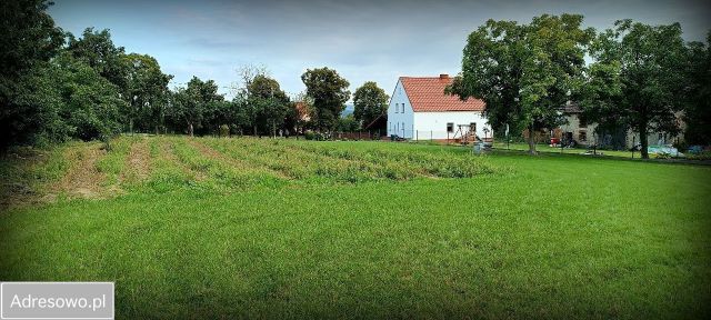 Działka budowlana Słupice, ul. Złoty Widok. Zdjęcie 1
