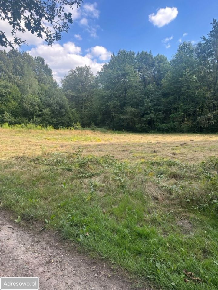 Działka inwestycyjna Mikołów, ul. Podgórna. Zdjęcie 6