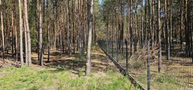 Działka leśna Makówka. Zdjęcie 3