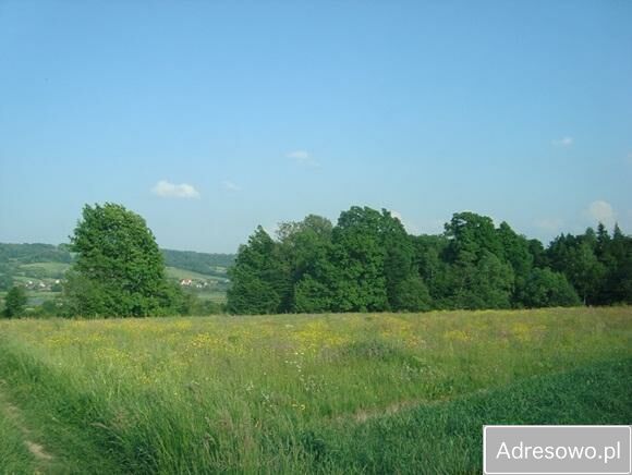 Działka rolna Nozdrzec. Zdjęcie 2