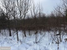 Działka rolna Nowy Prażmów, ul. Leśna. Zdjęcie 3