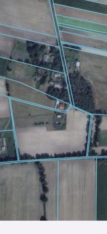 Działka rolna Kaliszkowice Kaliskie. Zdjęcie 1