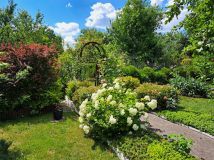 Działka rod Zabrze Biskupice, ul. Wojciecha Drzymały. Zdjęcie 2