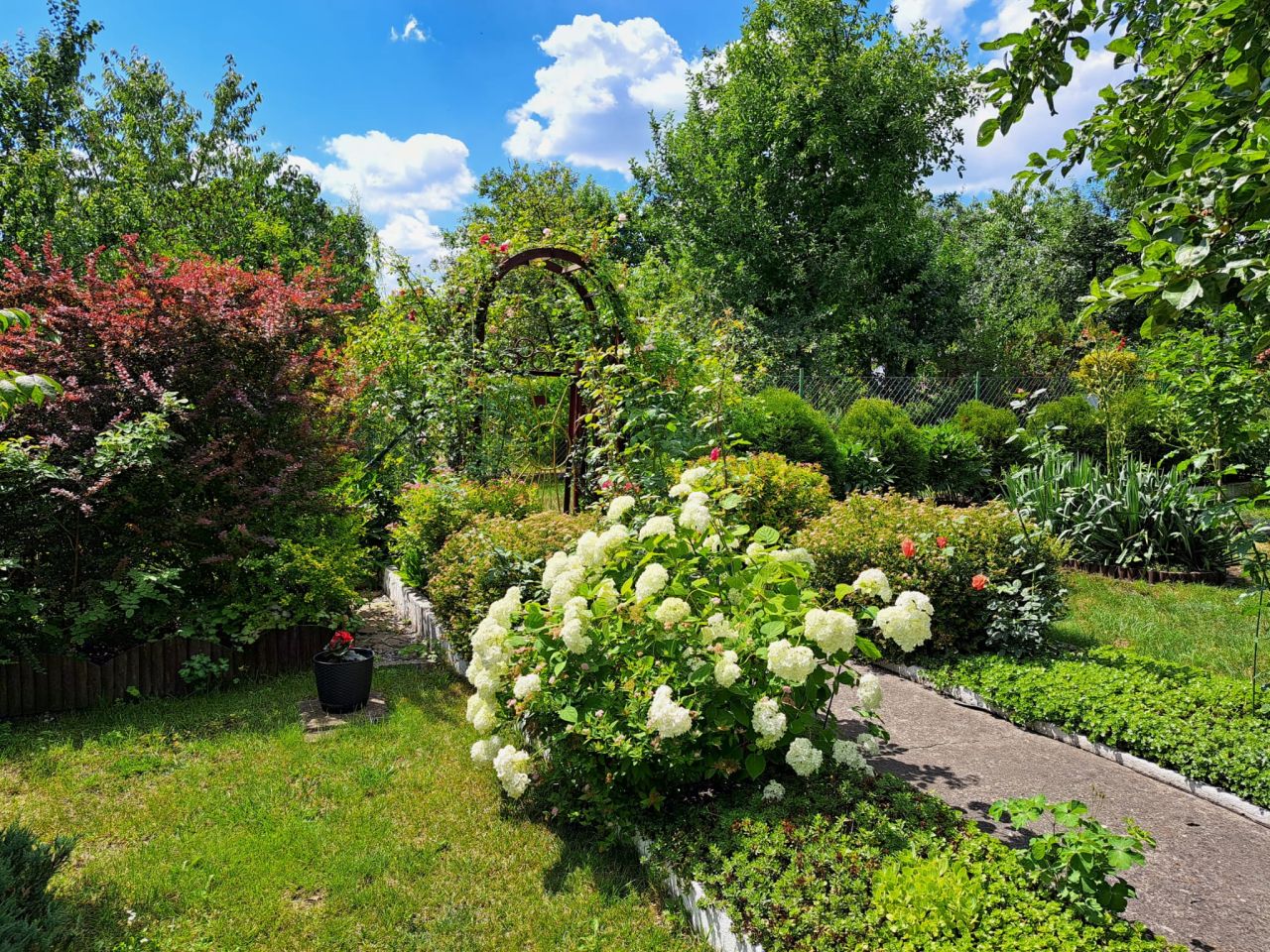 Działka rod Zabrze Biskupice, ul. Wojciecha Drzymały. Zdjęcie 3
