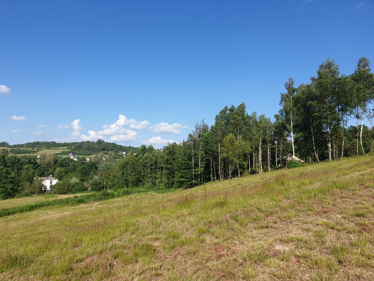 Działka inwestycyjna Łękawica Zimna Woda. Zdjęcie 7