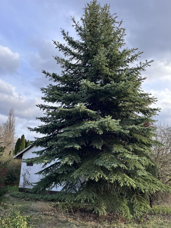 Działka rod Wrocław Krzyki, ul. Działkowa. Zdjęcie 7