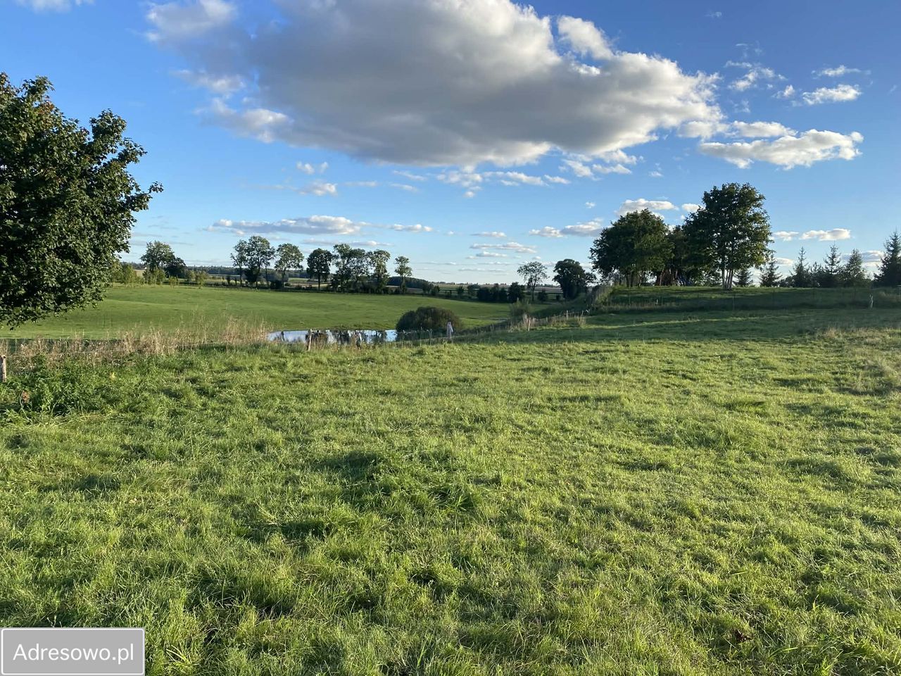 Działka budowlana Jeziorowskie. Zdjęcie 2