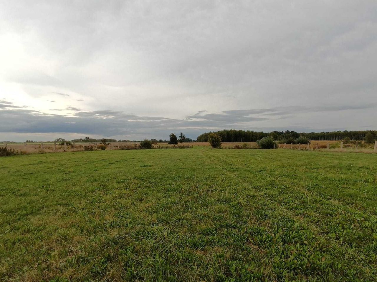 Działka rolno-budowlana Kozinki. Zdjęcie 4