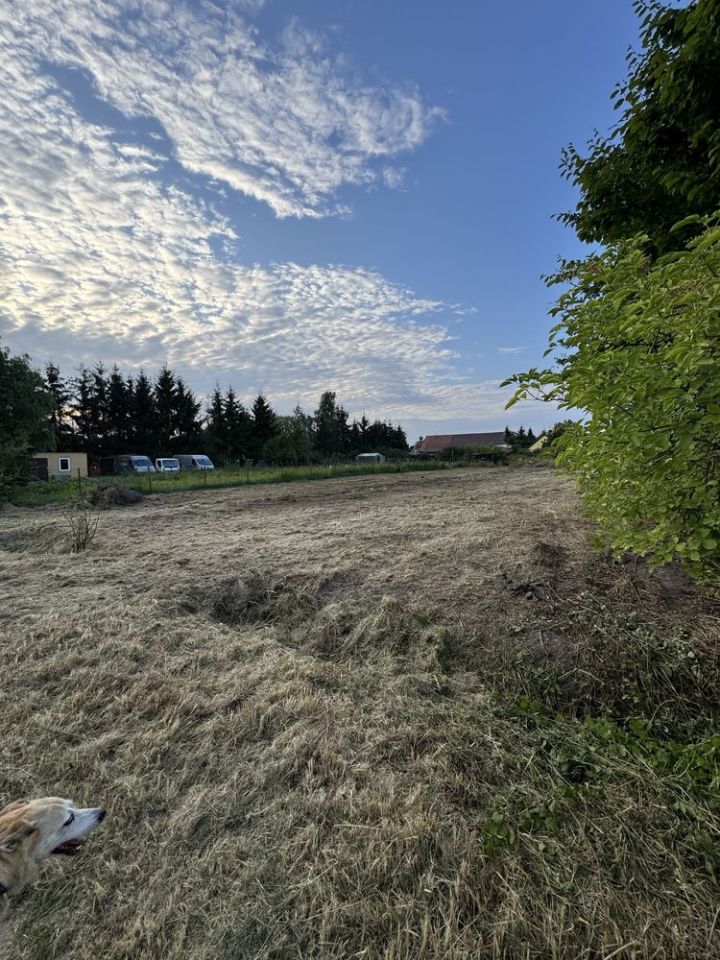 Działka budowlana Brzezina, ul. Willowa. Zdjęcie 4