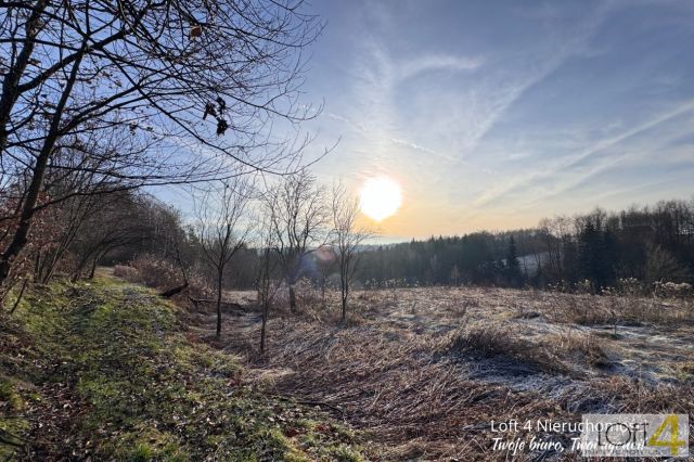 siedlisko, 3 pokoje Rzepiennik Marciszewski. Zdjęcie 4