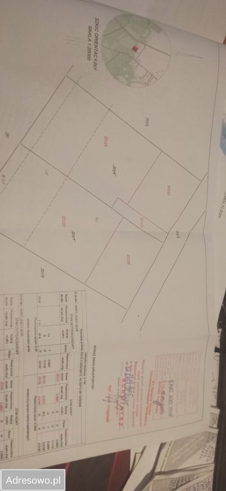 Działka budowlana Kępa. Zdjęcie 2