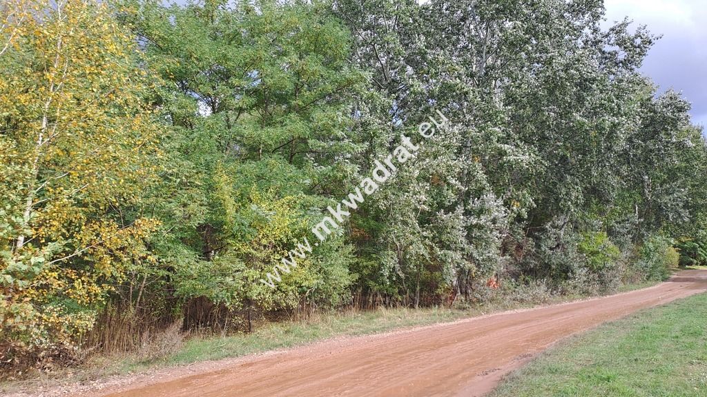 Działka budowlana Wyględy. Zdjęcie 4