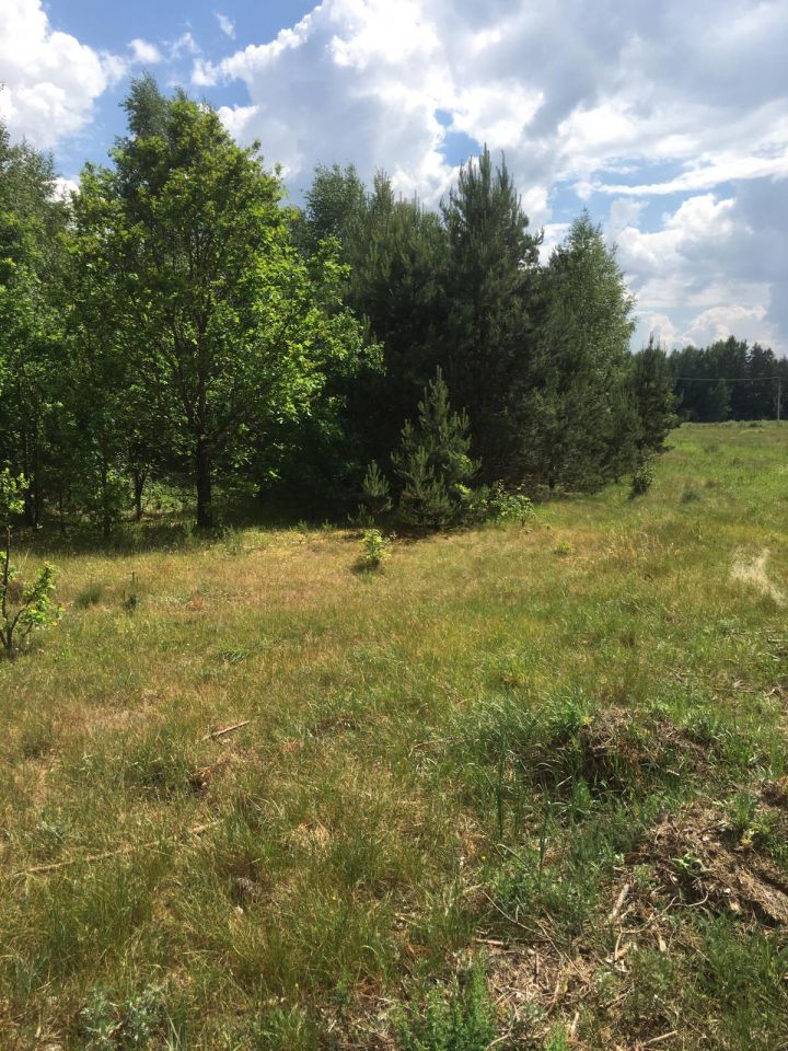 Działka rolna Plichta. Zdjęcie 3