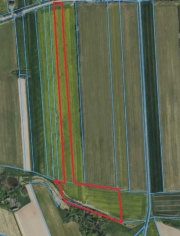 Działka rolna Jelno. Zdjęcie 1