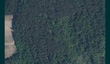 Działka leśna Dobrzyjałowo