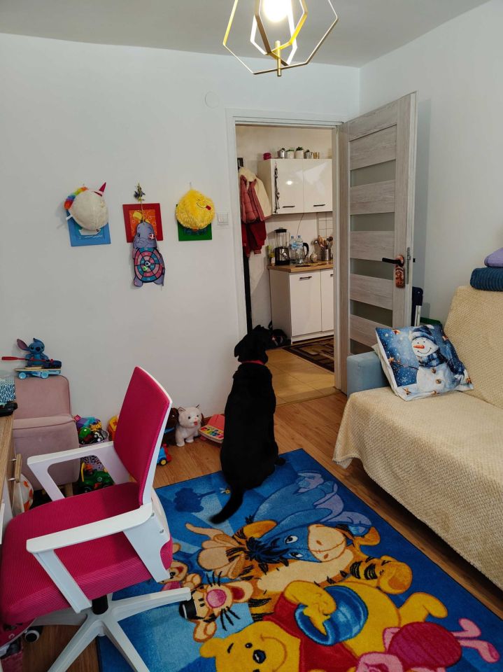 Mieszkanie 2-pokojowe Węgorzewo, ul. Teatralna. Zdjęcie 5