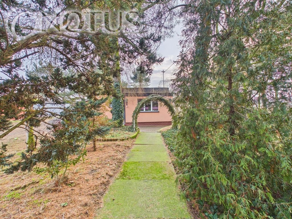 Działka budowlana Paczynka. Zdjęcie 3