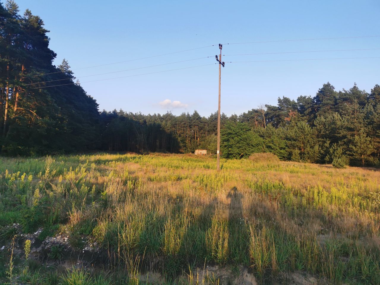 Działka rolna Świerczyna. Zdjęcie 3